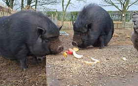 De Skure: vakantiewoning op boerderij